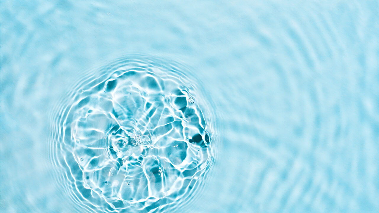 Viviendo desde el sentido estético